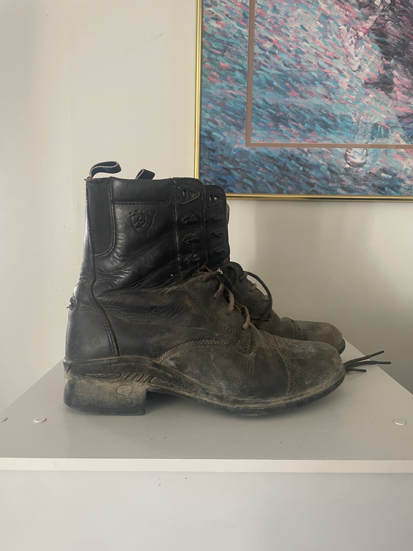 Arait paddock boots, sz 7